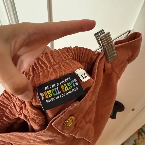 Big Bud Press Work Pants in terracotta - Picture 4 of 6